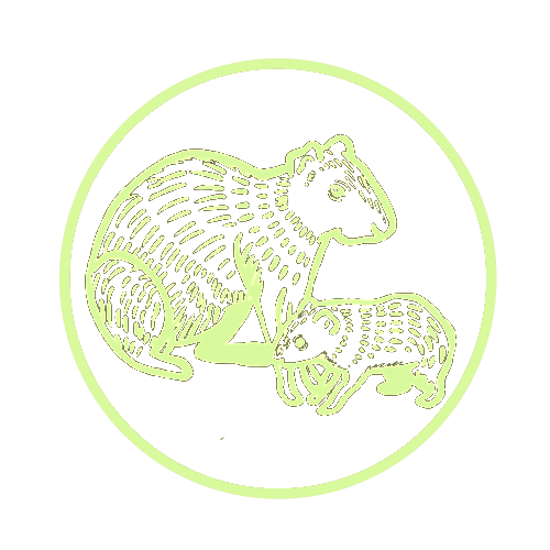 s\Subpage Icon