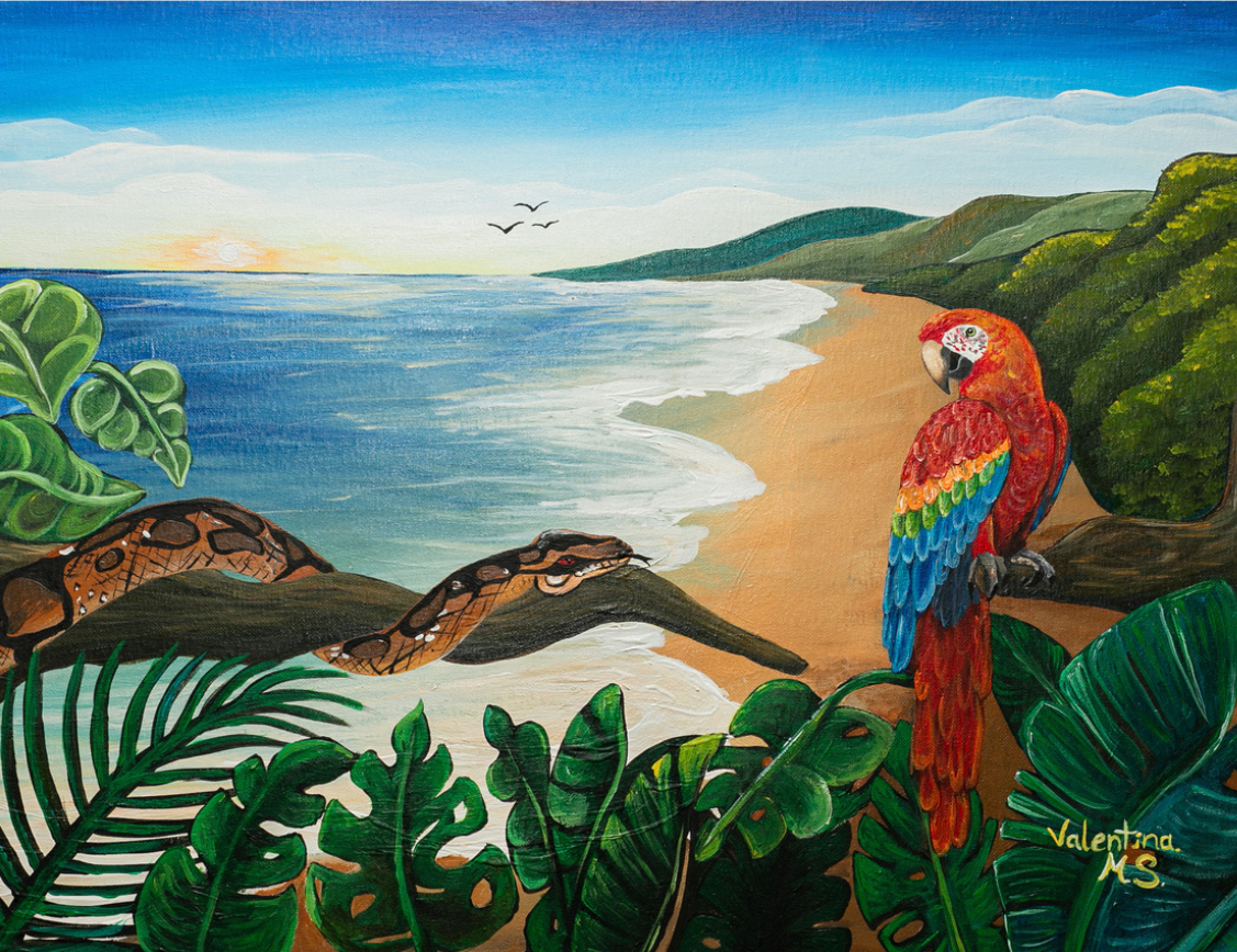 Donde la selva abraza al mar