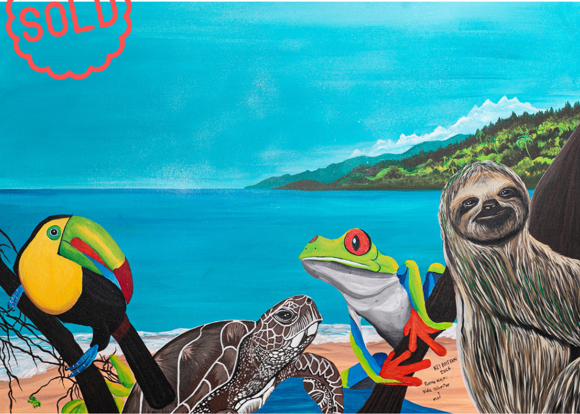 Puerto Viejo: vida silvestre y mar